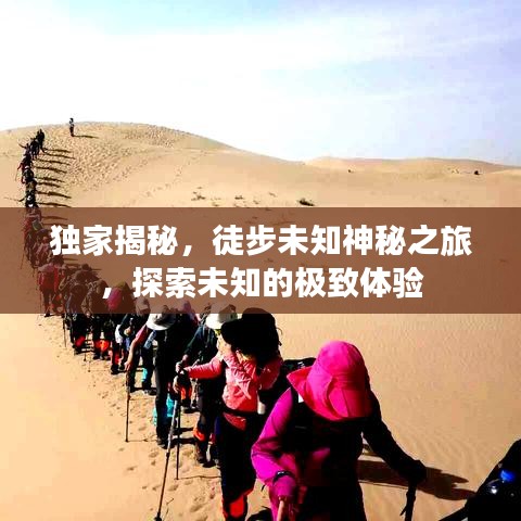獨(dú)家揭秘,徒步未知神秘之旅,探索未知的極致體驗(yàn)