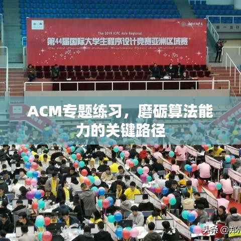 ACM專題練習,磨礪算法能力的關鍵路徑