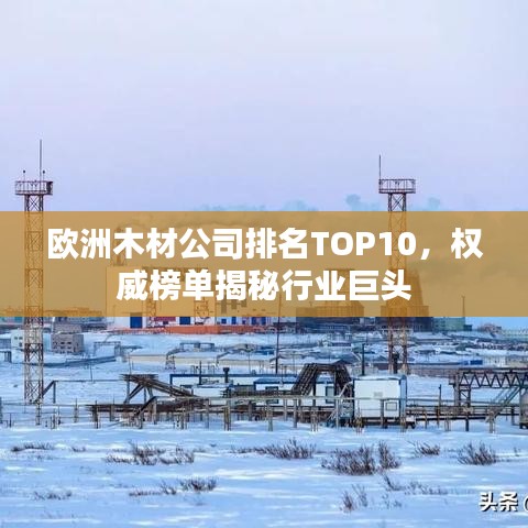 歐洲木材公司排名TOP10,權威榜單揭秘行業巨頭
