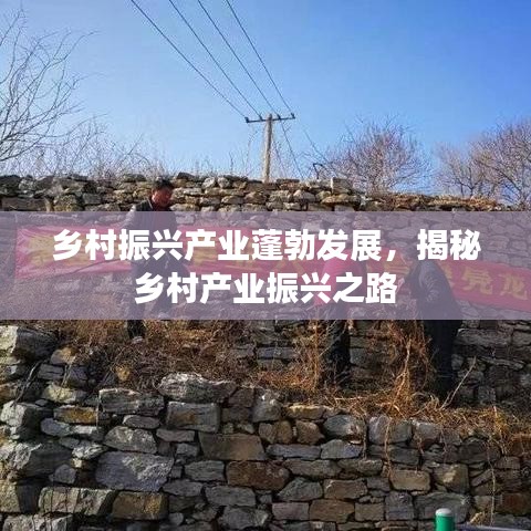 鄉村振興產業蓬勃發展,揭秘鄉村產業振興之路