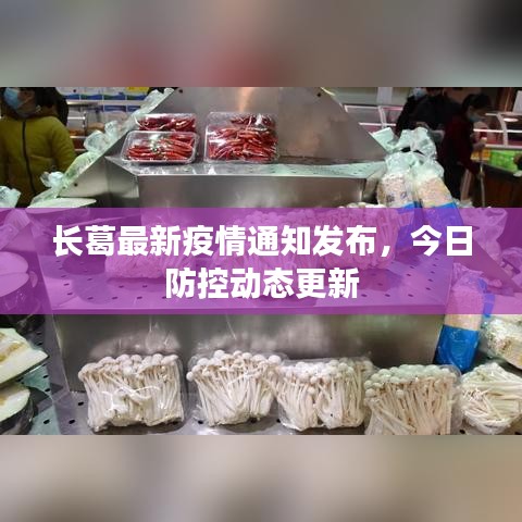 長葛最新疫情通知發(fā)布,今日防控動態(tài)更新