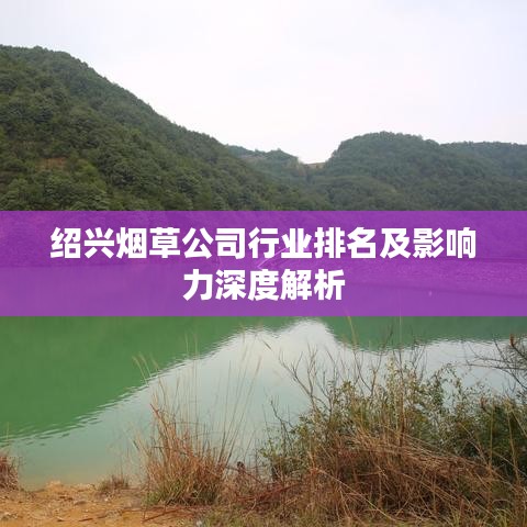 紹興煙草公司行業排名及影響力深度解析