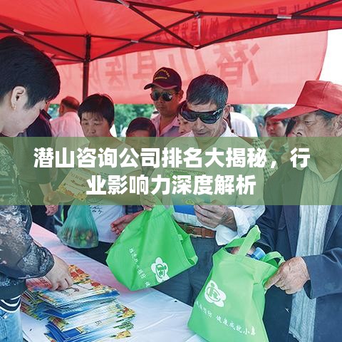 潛山咨詢(xún)公司排名大揭秘,行業(yè)影響力深度解析
