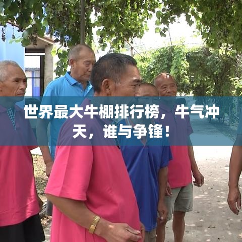 世界最大牛棚排行榜，牛氣沖天，誰與爭鋒！