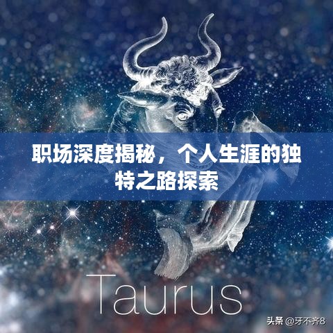 職場深度揭秘,個人生涯的獨特之路探索