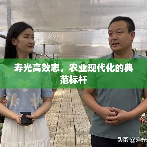 壽光高效志,農業現代化的典范標桿