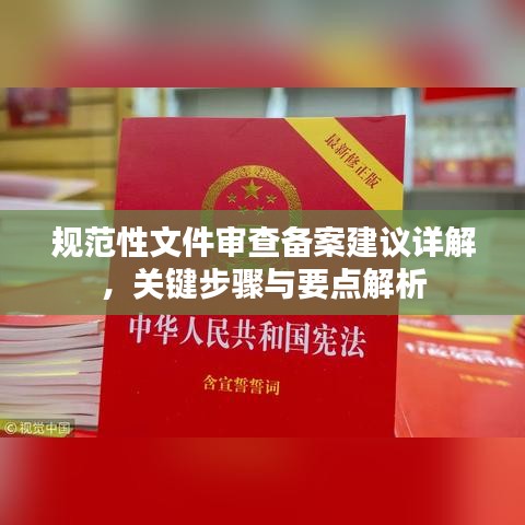 規范性文件審查備案建議詳解,關鍵步驟與要點解析