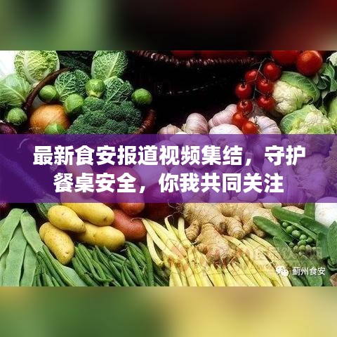 最新食安報道視頻集結,守護餐桌安全,你我共同關注