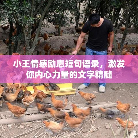 小王情感勵志短句語錄,激發你內心力量的文字精髓