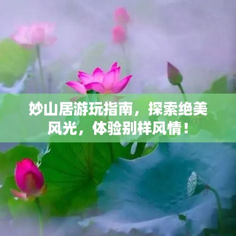 妙山居游玩指南,探索絕美風光,體驗別樣風情!