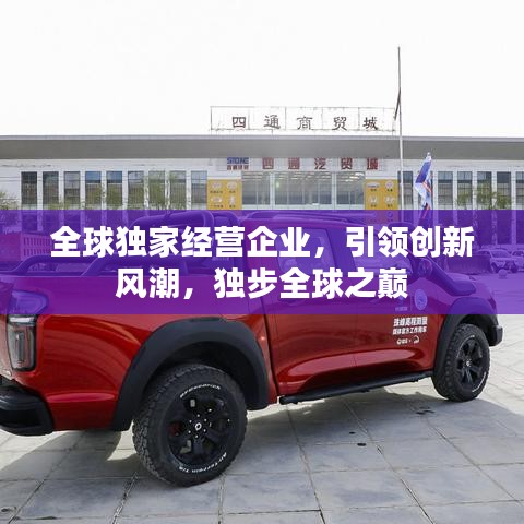 全球獨家經(jīng)營企業(yè),引領創(chuàng)新風潮,獨步全球之巔