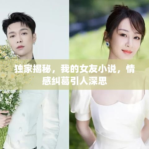 獨(dú)家揭秘,我的女友小說(shuō),情感糾葛引人深思