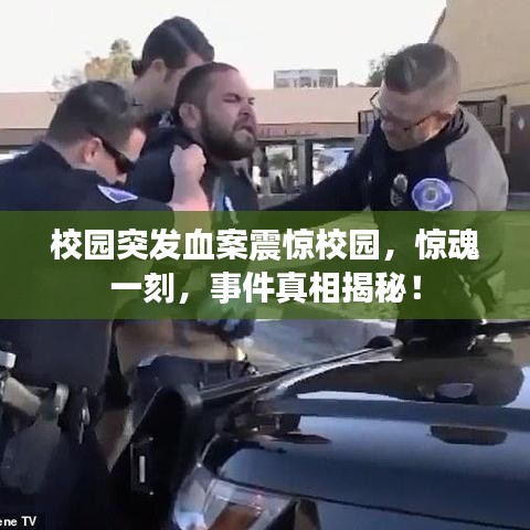 校園突發(fā)血案震驚校園,驚魂一刻,事件真相揭秘!