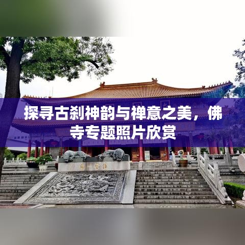 探尋古剎神韻與禪意之美,佛寺專題照片欣賞