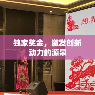 獨家獎金,激發創新動力的源泉