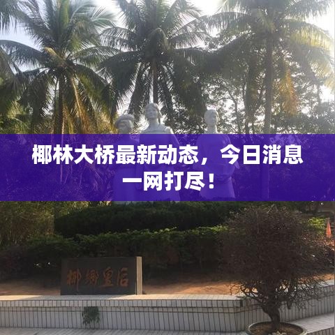 椰林大橋最新動態,今日消息一網打盡!
