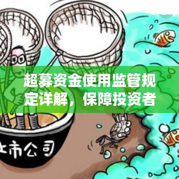 超募資金使用監(jiān)管規(guī)定詳解,保障投資者權益,規(guī)范企業(yè)資金運用