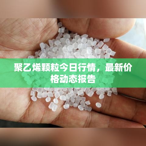 聚乙烯顆粒今日行情,最新價格動態報告