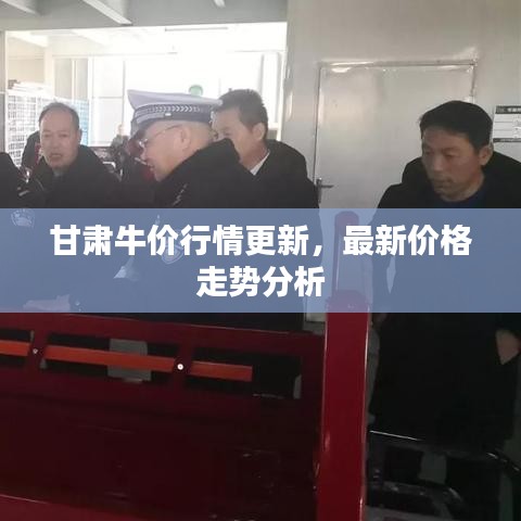 甘肅牛價行情更新,最新價格走勢分析