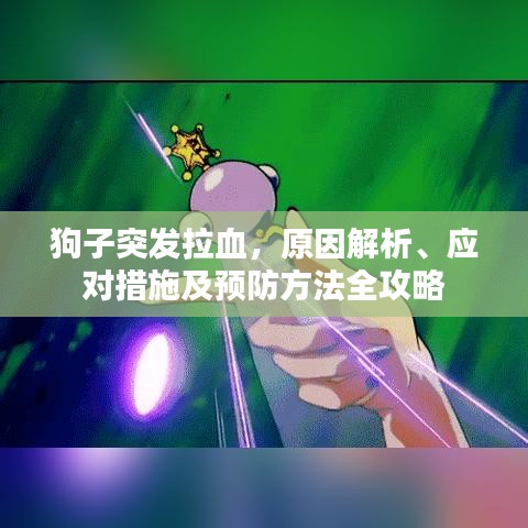 狗子突發(fā)拉血,原因解析、應(yīng)對(duì)措施及預(yù)防方法全攻略