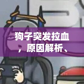 狗子突發(fā)拉血,原因解析、應(yīng)對(duì)措施及預(yù)防方法全攻略