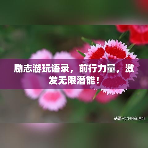 勵(lì)志游玩語(yǔ)錄,前行力量,激發(fā)無(wú)限潛能!
