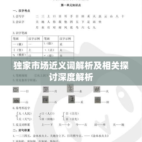 獨家市場近義詞解析及相關探討深度解析
