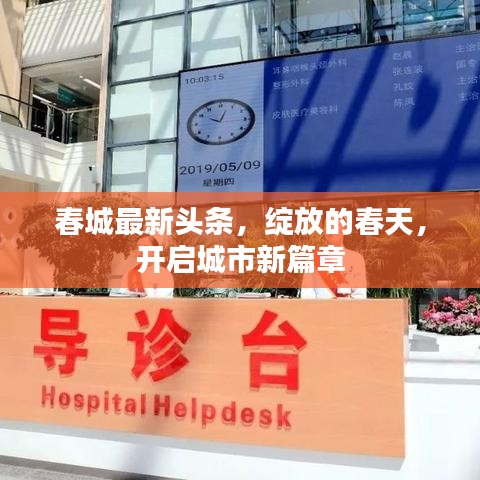 春城最新頭條,綻放的春天,開啟城市新篇章
