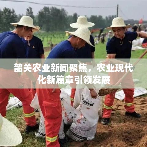 韶關(guān)農(nóng)業(yè)新聞聚焦,農(nóng)業(yè)現(xiàn)代化新篇章引領(lǐng)發(fā)展