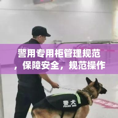 警用專用柜管理規范,保障安全,規范操作,提升警務效率