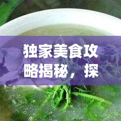 獨家美食攻略揭秘，探索味蕾盛宴的極致之旅