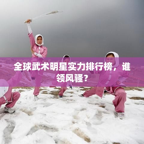 全球武術(shù)明星實力排行榜,誰領(lǐng)風(fēng)騷?