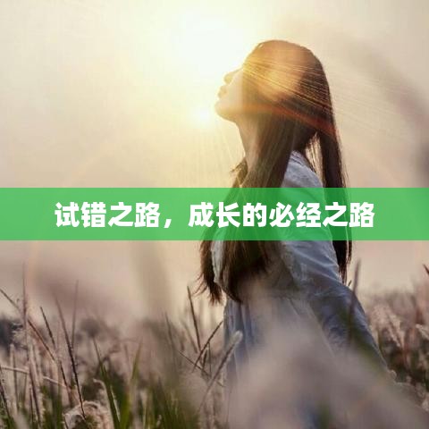 試錯之路,成長的必經之路