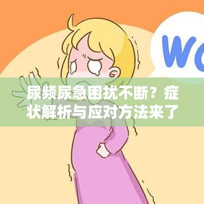 尿頻尿急困擾不斷？癥狀解析與應對方法來了！