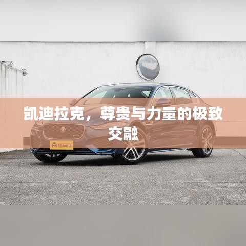 凱迪拉克,尊貴與力量的極致交融