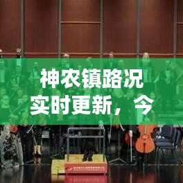 神農鎮路況實時更新,今日路況最新消息匯總
