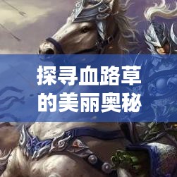 探尋血路草的美麗奧秘,百度圖片帶你領(lǐng)略血路草的風采