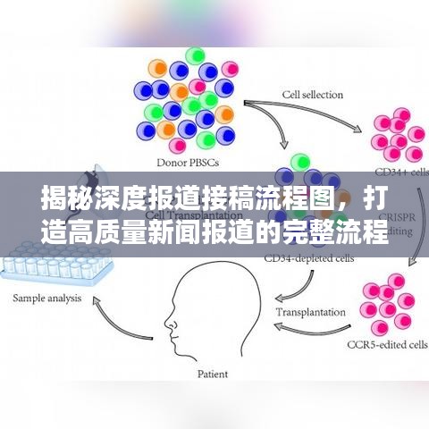 揭秘深度報道接稿流程圖,打造高質(zhì)量新聞報道的完整流程揭秘