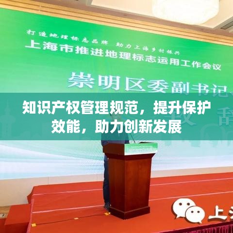 知識產權管理規范,提升保護效能,助力創新發展