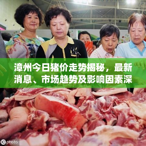 漳州今日豬價(jià)走勢(shì)揭秘,最新消息、市場(chǎng)趨勢(shì)及影響因素深度解析