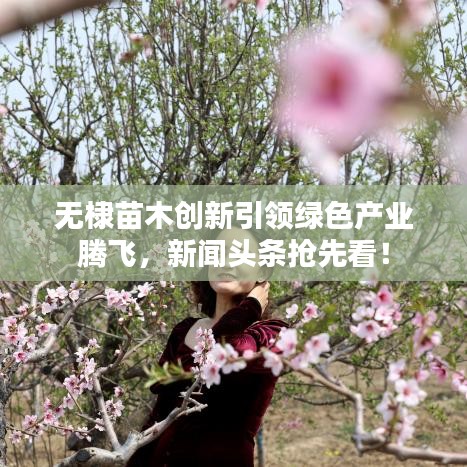 無棣苗木創(chuàng)新引領(lǐng)綠色產(chǎn)業(yè)騰飛,新聞?lì)^條搶先看!
