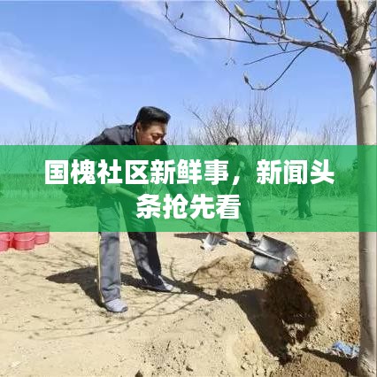 國(guó)槐社區(qū)新鮮事,新聞?lì)^條搶先看