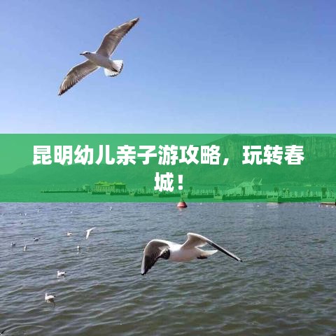 昆明幼兒親子游攻略,玩轉春城!