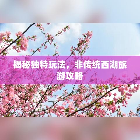 揭秘獨特玩法,非傳統西湖旅游攻略