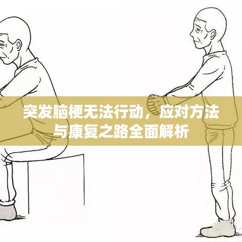 突發(fā)腦梗無法行動,應(yīng)對方法與康復(fù)之路全面解析