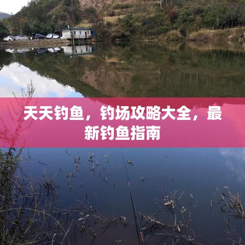 天天釣魚,釣場攻略大全,最新釣魚指南