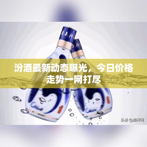 汾酒最新動態曝光,今日價格走勢一網打盡