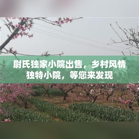 尉氏獨(dú)家小院出售,鄉(xiāng)村風(fēng)情獨(dú)特小院,等您來(lái)發(fā)現(xiàn)