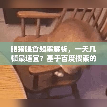 肥豬喂食頻率解析,一天幾頓最適宜?基于百度搜索的專業(yè)探討