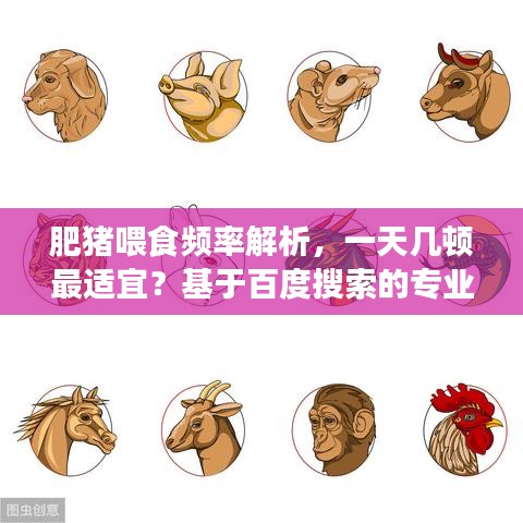 肥豬喂食頻率解析,一天幾頓最適宜?基于百度搜索的專業(yè)探討
